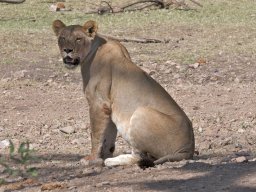 Western_Corridor2009-11